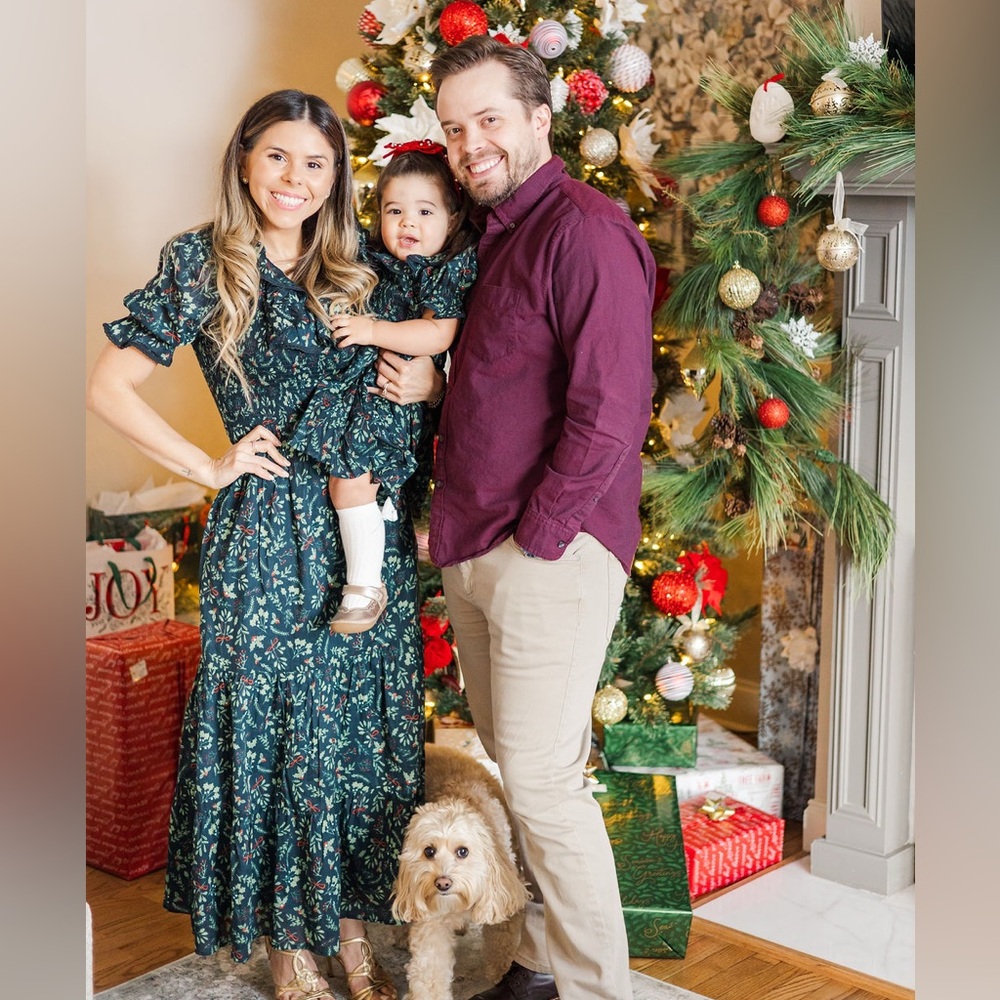 Ivy City Co. Gracie Dress 
Like New (worn once for Christmas photos)
